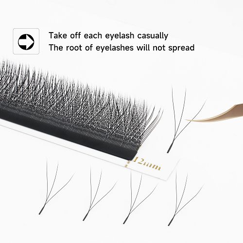 W Lashes W Lashes